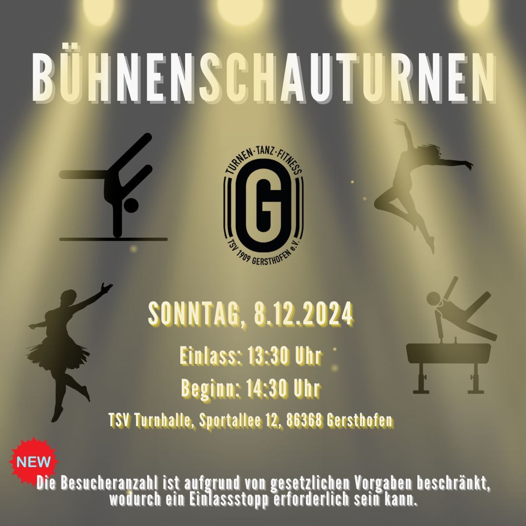 Talent Show Bühne Social Media Post1